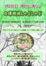 5/31 白樺樹液シャブシャブ