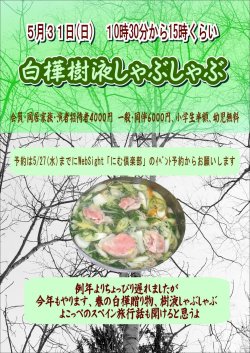 5/31 白樺樹液シャブシャブ